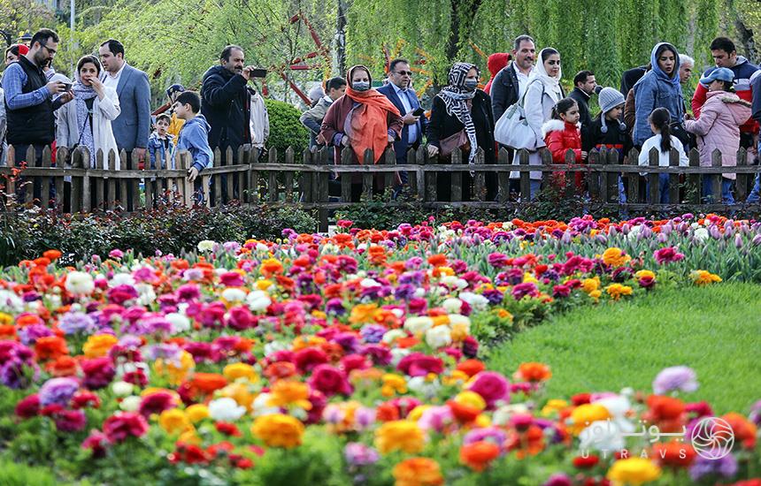 باغ لاله های کرج؛ مردم از پشت نرده‌های چوبی درحال تماشای گل‌ها هستند. 